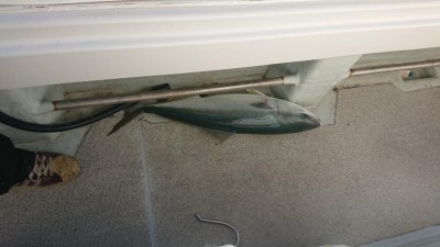 DSC_0709.JPG