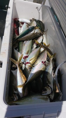 DSC_1423.JPG