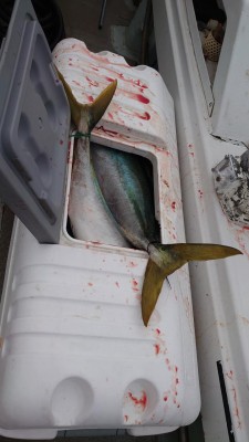 DSC_0948.JPG